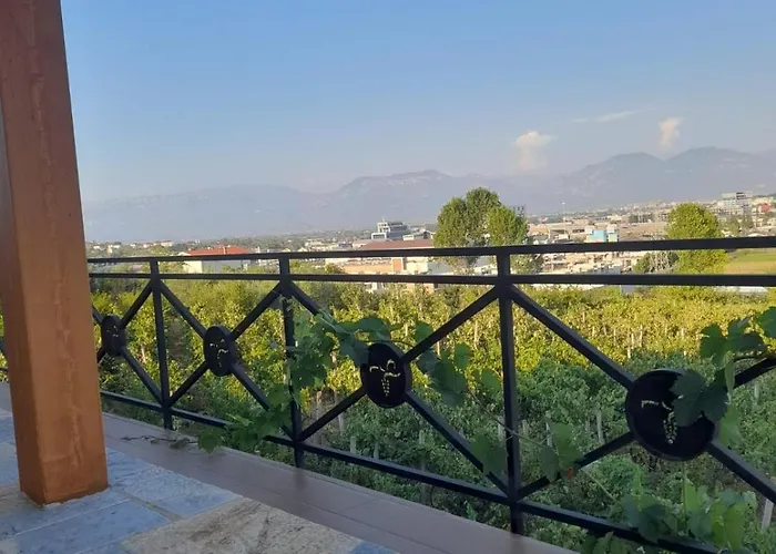 Vila Shehi Guesthouse And Winery